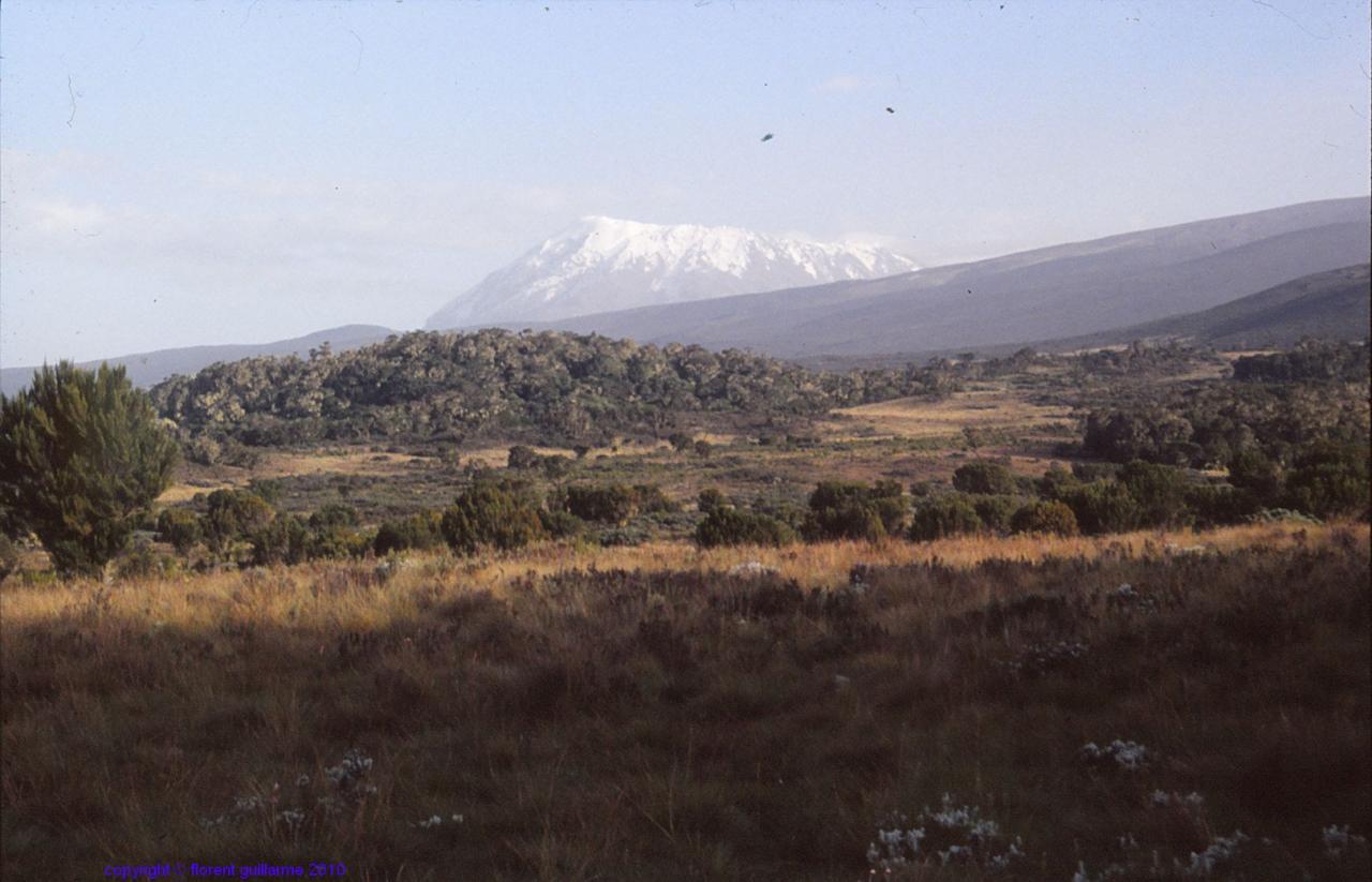 Premières vues sur le Kilimandjaro, Tanzanie