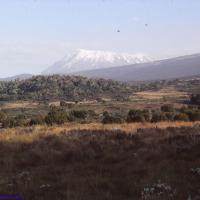 Premières vues sur le Kilimandjaro, Tanzanie