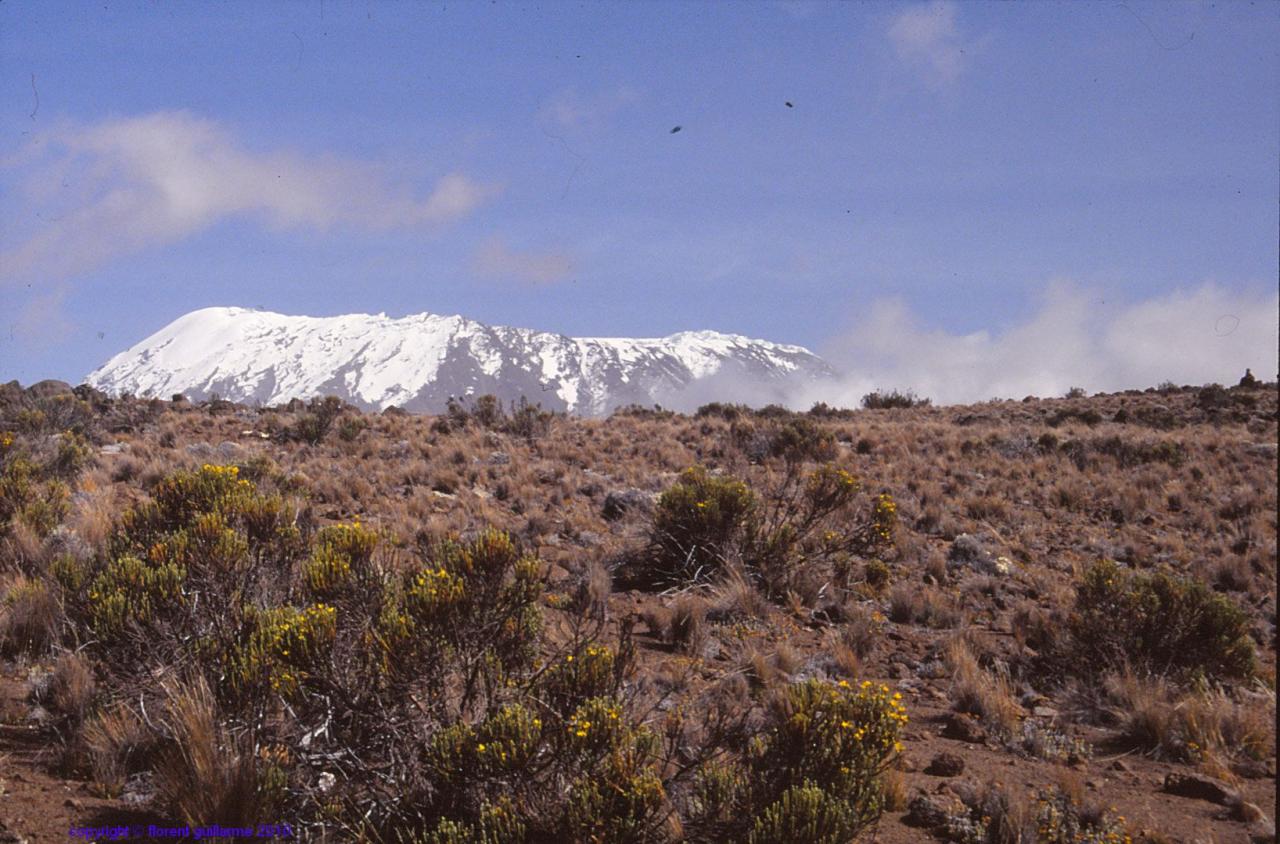 Le Kilimandjaro, 5895 mètres, Tanzanie