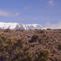 Le Kilimandjaro, 5895 mètres, Tanzanie