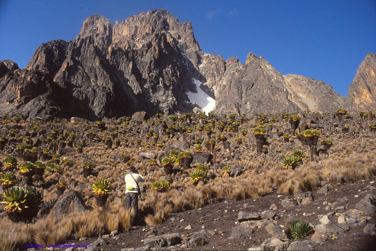 Devant les deux principaux sommets du massif du Mont Kenya