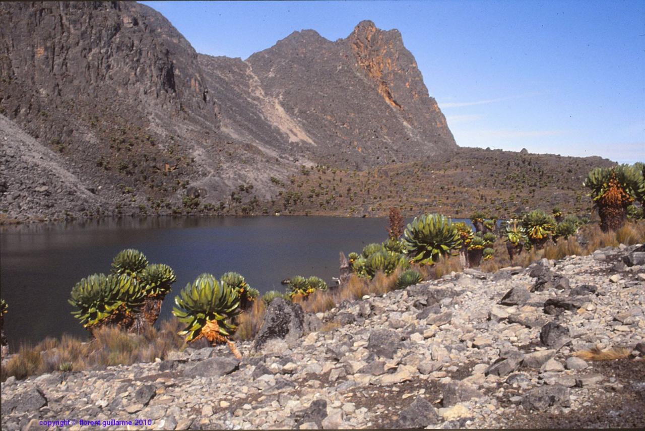 Lac d'altitude, massif du Mont Kenya