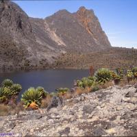 Lac d'altitude, massif du Mont Kenya