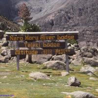 Arrivée à 4300 mètres, massif du Mont Kenya