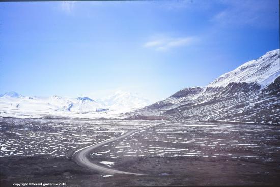 Denali National Park, Alaska