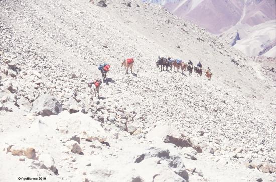 Arrivée au camp de base de l' Aconcagua, Argentine