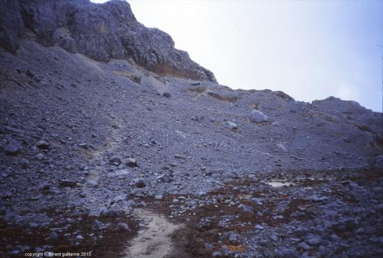 A l' approche du Cartensz, 5030m, Papouasie