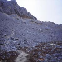 A l' approche du Cartensz, 5030m, Papouasie