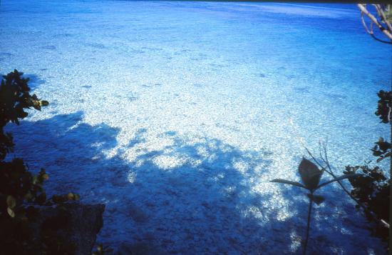 Une vue sur des eaux superbes