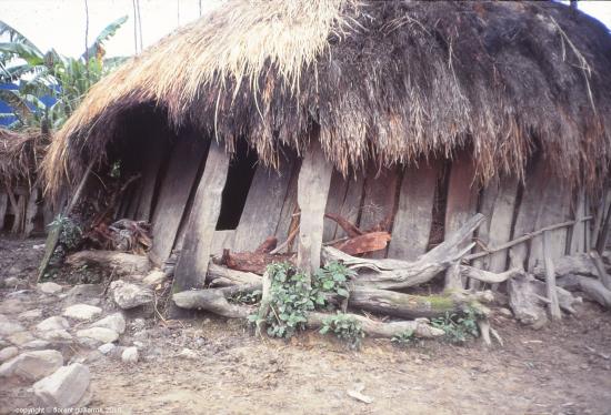 Habitat traditionnel, Papouasie