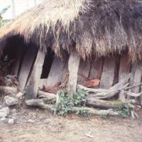 Habitat traditionnel, Papouasie