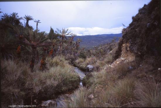 Paysage de la province d'Irian Jaya, Papouasie