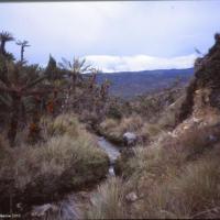 Paysage de la province d'Irian Jaya, Papouasie