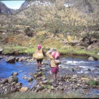 Traversée de torrent, Papouasie