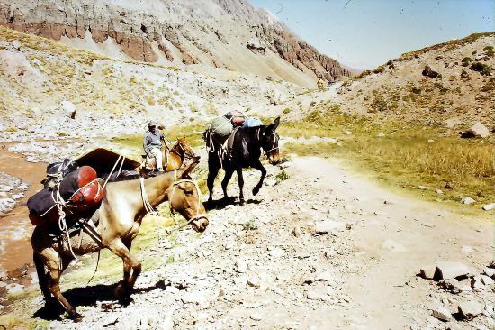 aconcagua-97-1.jpg